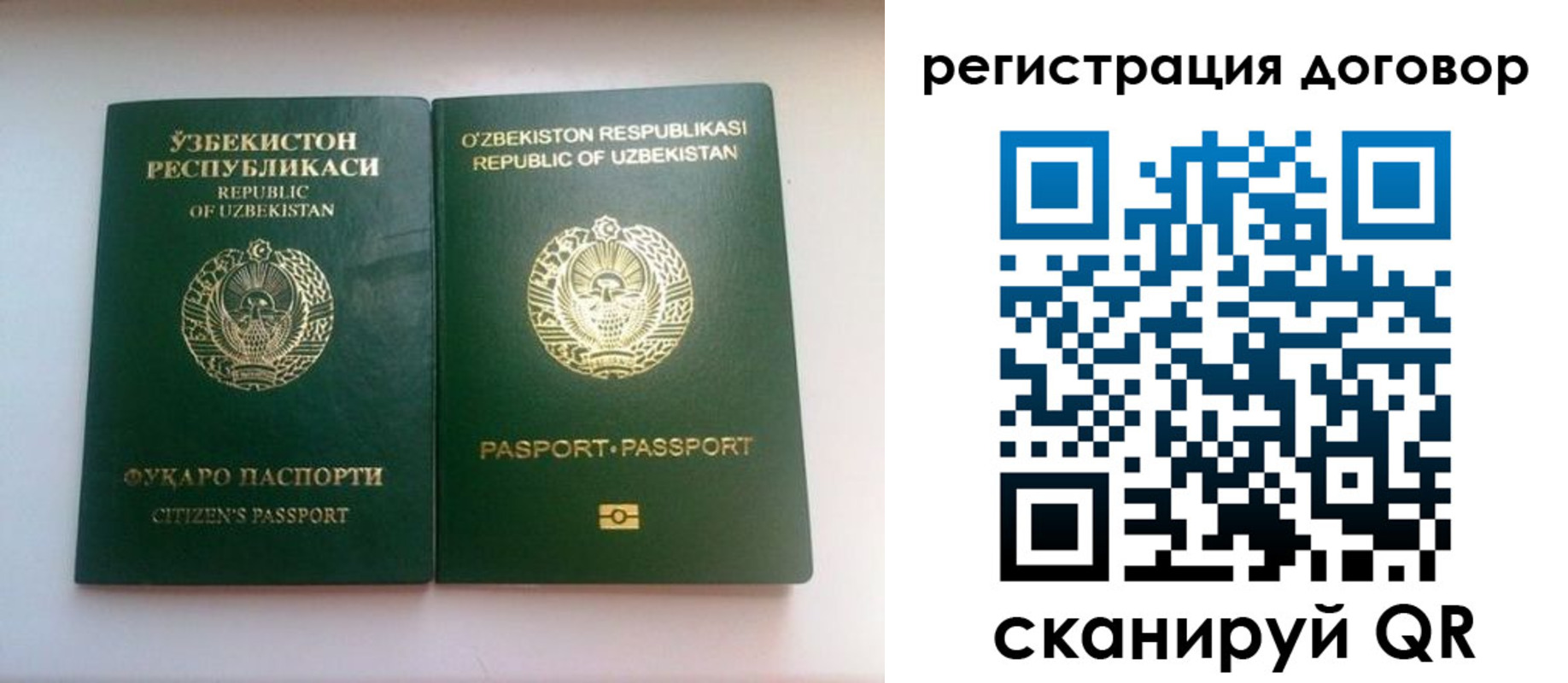прописка в Архангельской области